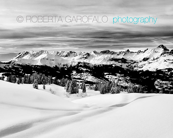 Paesaggio innevato in bianco e nero
