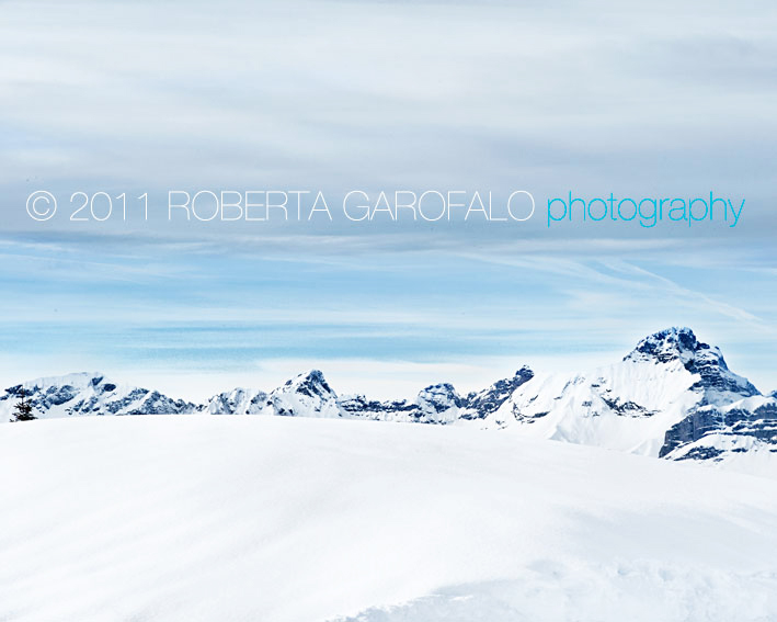 Fotografia di paesaggio innevato