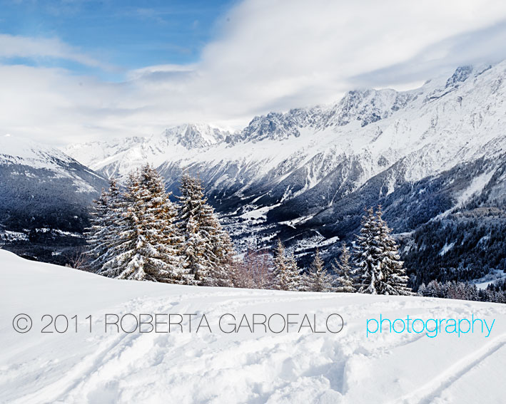 Fotografia di paesaggio innevato con alberi