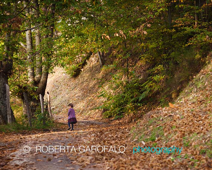 Servizio fotografico nel bosco